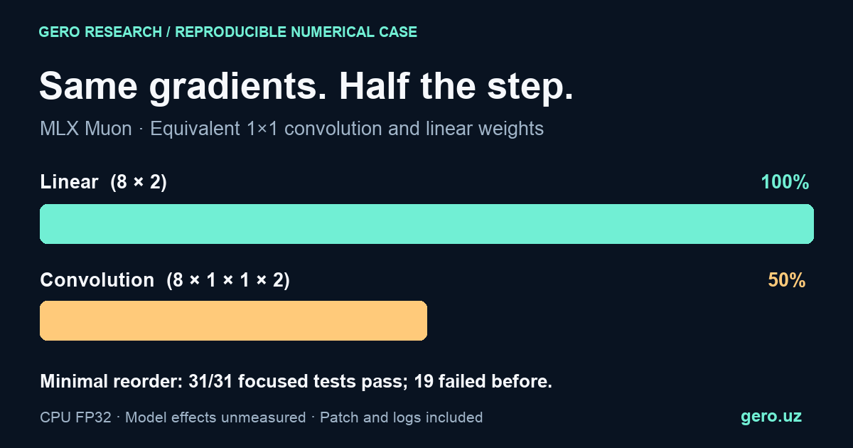 MLX Muon, same gradients and half the step: linear weights 8 by 2 normalized to 100 percent; equivalent convolution weights 8 by 1 by 1 by 2 produce 50 percent. The patch passes 31 focused tests. Model effects are unmeasured.